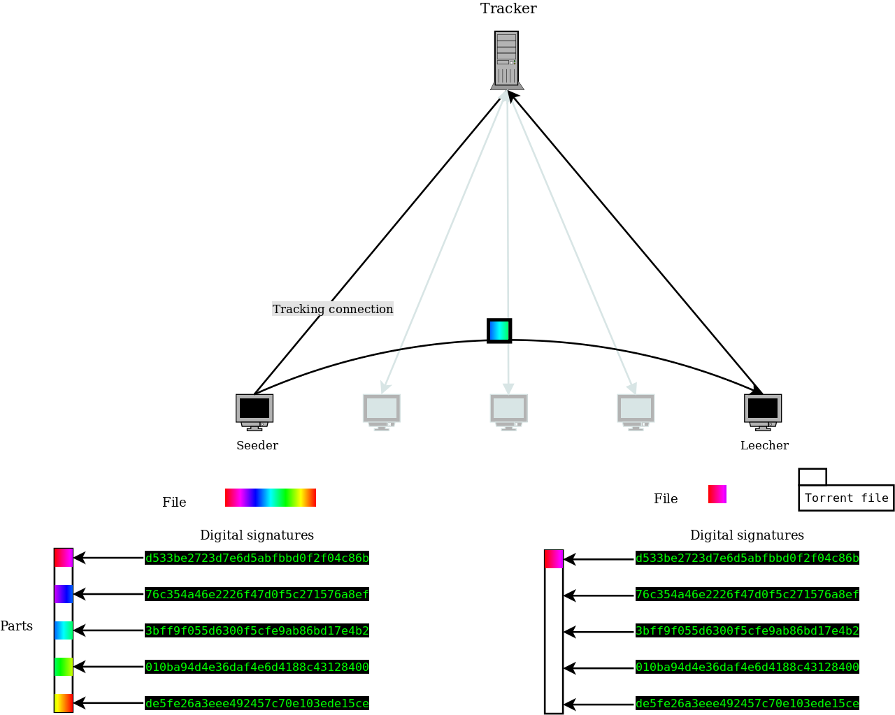 Torrent6